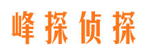 武清峰探私家侦探公司